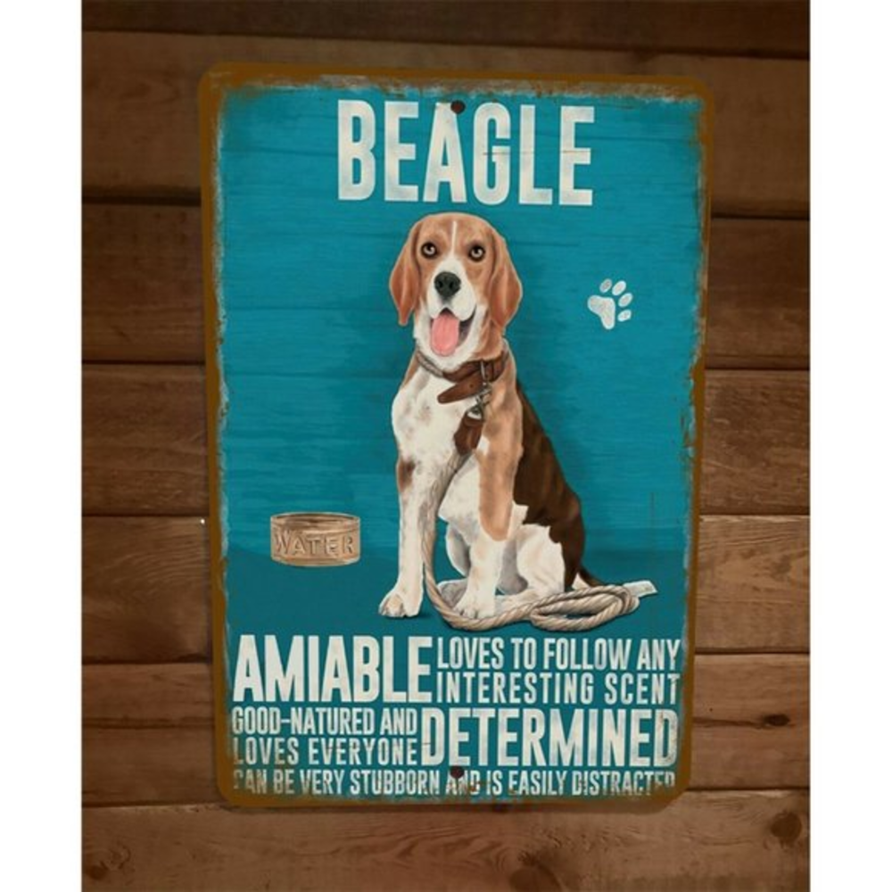 Beagle‎ Amiable Determined Stubborn Easily Distracted 8x12 Metal Wall Sign